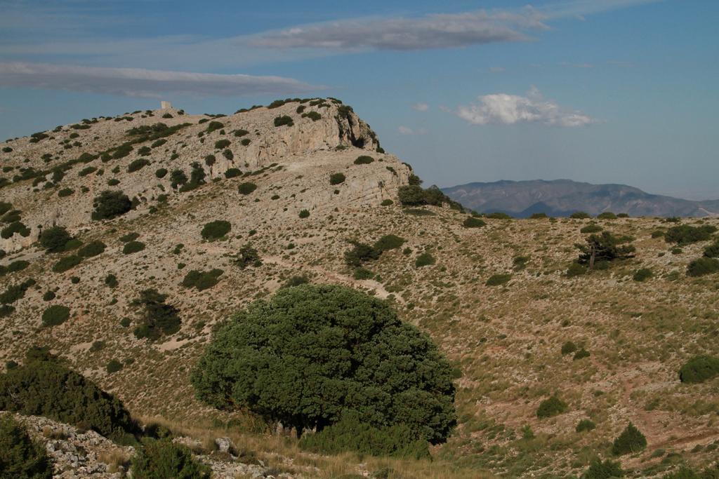 Alojamientos Rurales Cortijo Las Golondrinas Alhama de Murcia Ngoại thất bức ảnh