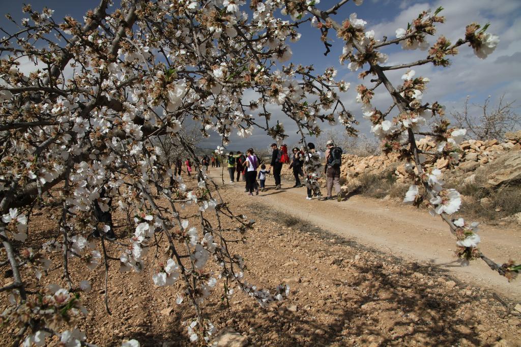 Alojamientos Rurales Cortijo Las Golondrinas Alhama de Murcia Ngoại thất bức ảnh