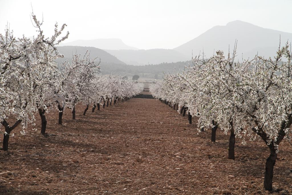 Alojamientos Rurales Cortijo Las Golondrinas Alhama de Murcia Ngoại thất bức ảnh