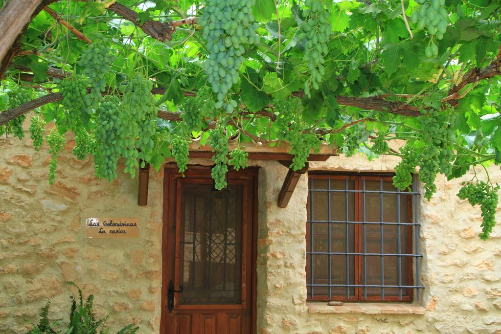 Alojamientos Rurales Cortijo Las Golondrinas Alhama de Murcia Ngoại thất bức ảnh