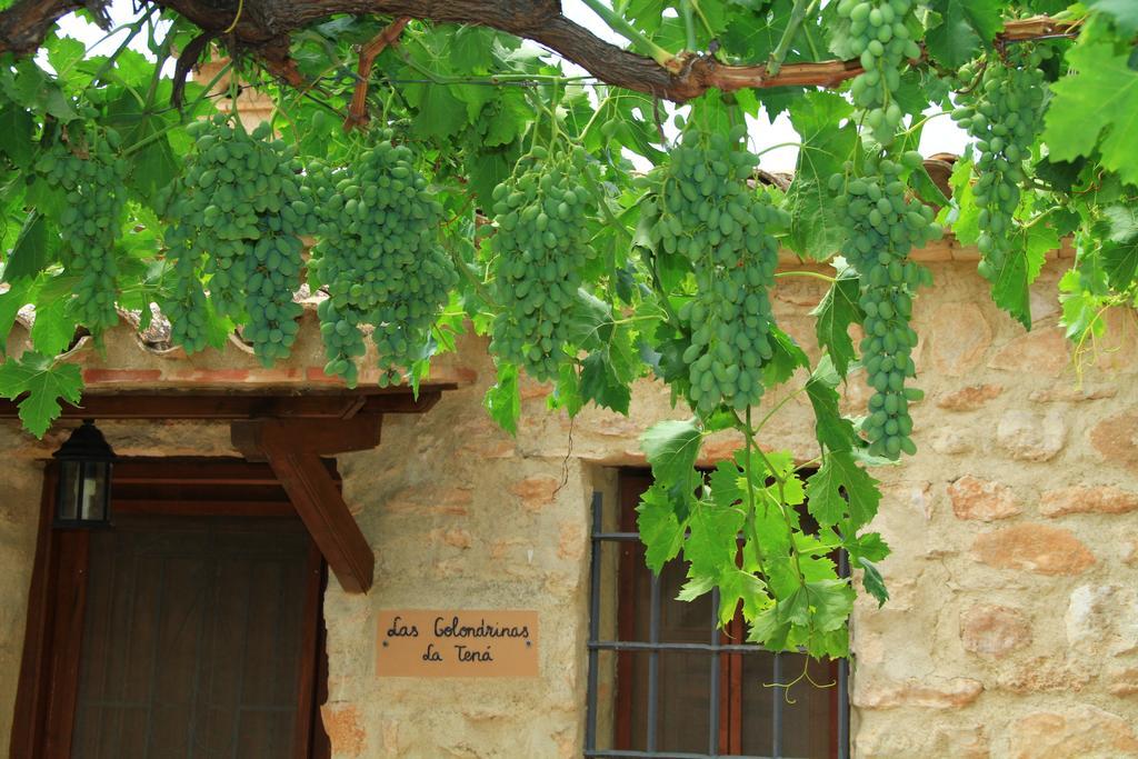 Alojamientos Rurales Cortijo Las Golondrinas Alhama de Murcia Ngoại thất bức ảnh